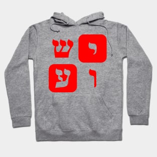 Hebrew Word for Jesus Yeshua Hebrew Letters Red Aesthetic Hoodie